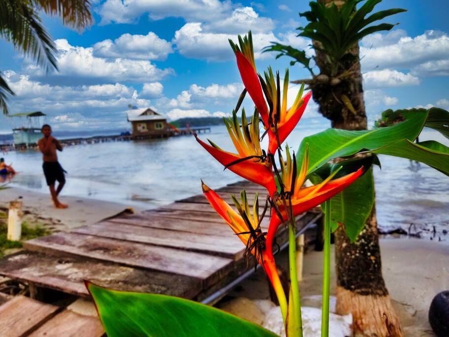 Вілла Poetry Garden Bocas Town Colon Island Екстер'єр фото